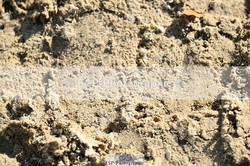 251004A-152835-01835 - Classes 8 & 9 70cm