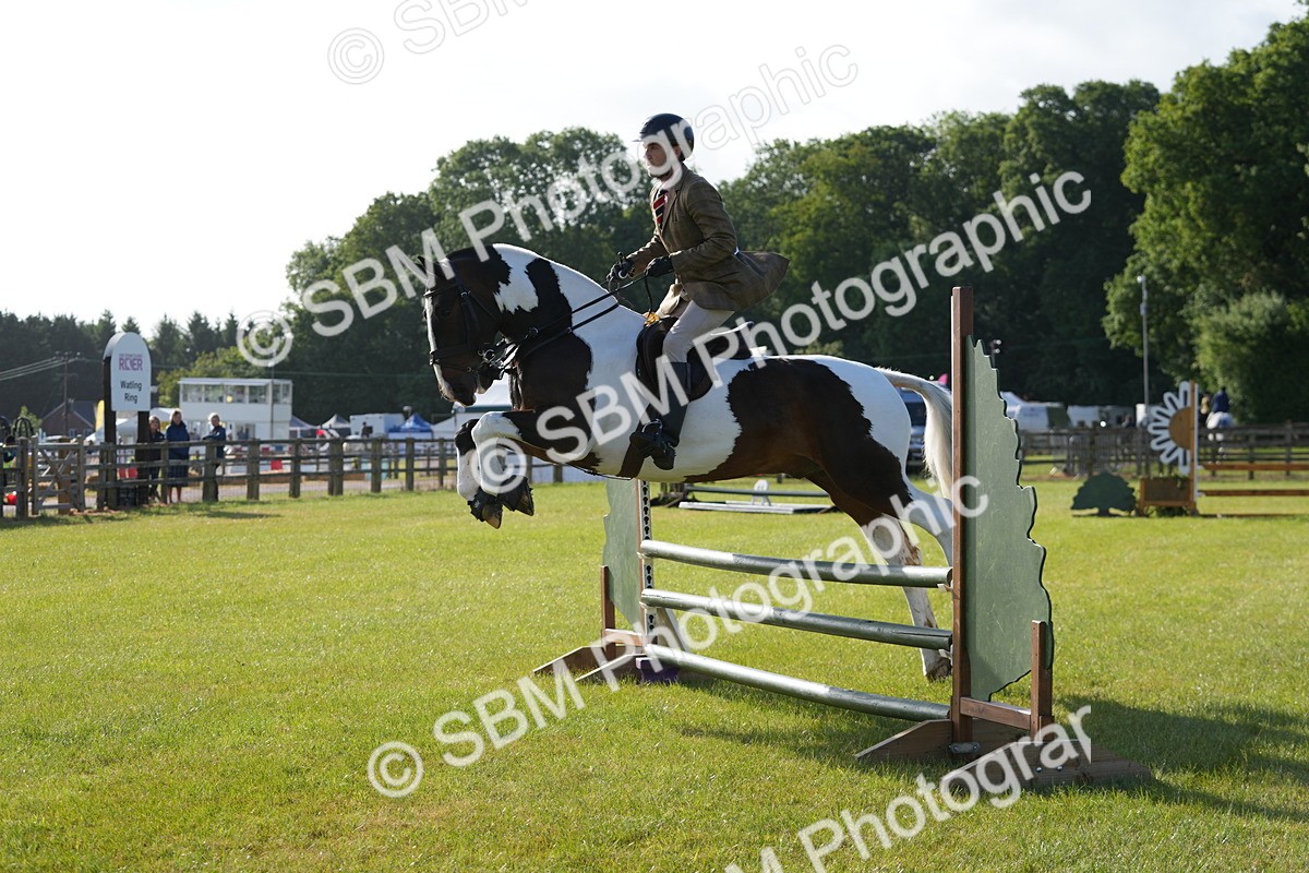 SBM_10530 - Class 97-98 - LIHS BSHA Rising Star Working Show Horse Hunter