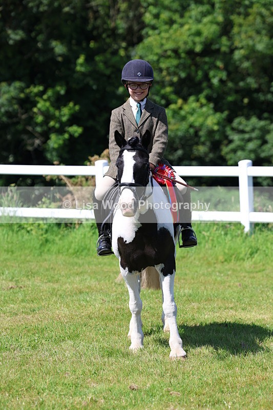 3E7A6800 - Working Hunter Pony Championship