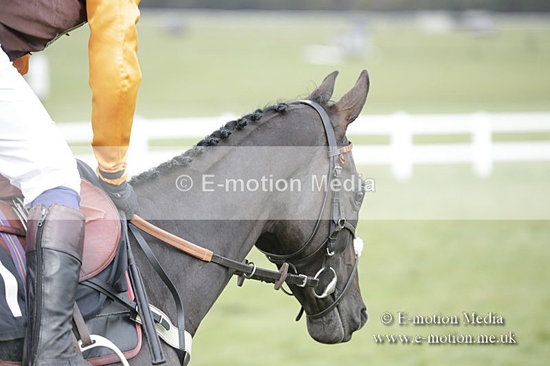 PtP 150320 0465 - New Forest Point-to-Point Larkhill 15/03/20