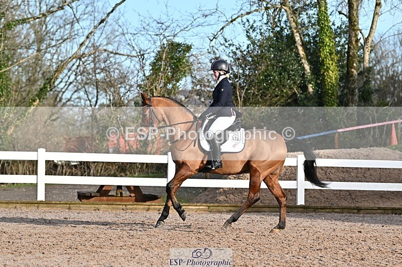 250125-101612-00140 - Dressage - CT Class 4 BE95 (80cm)