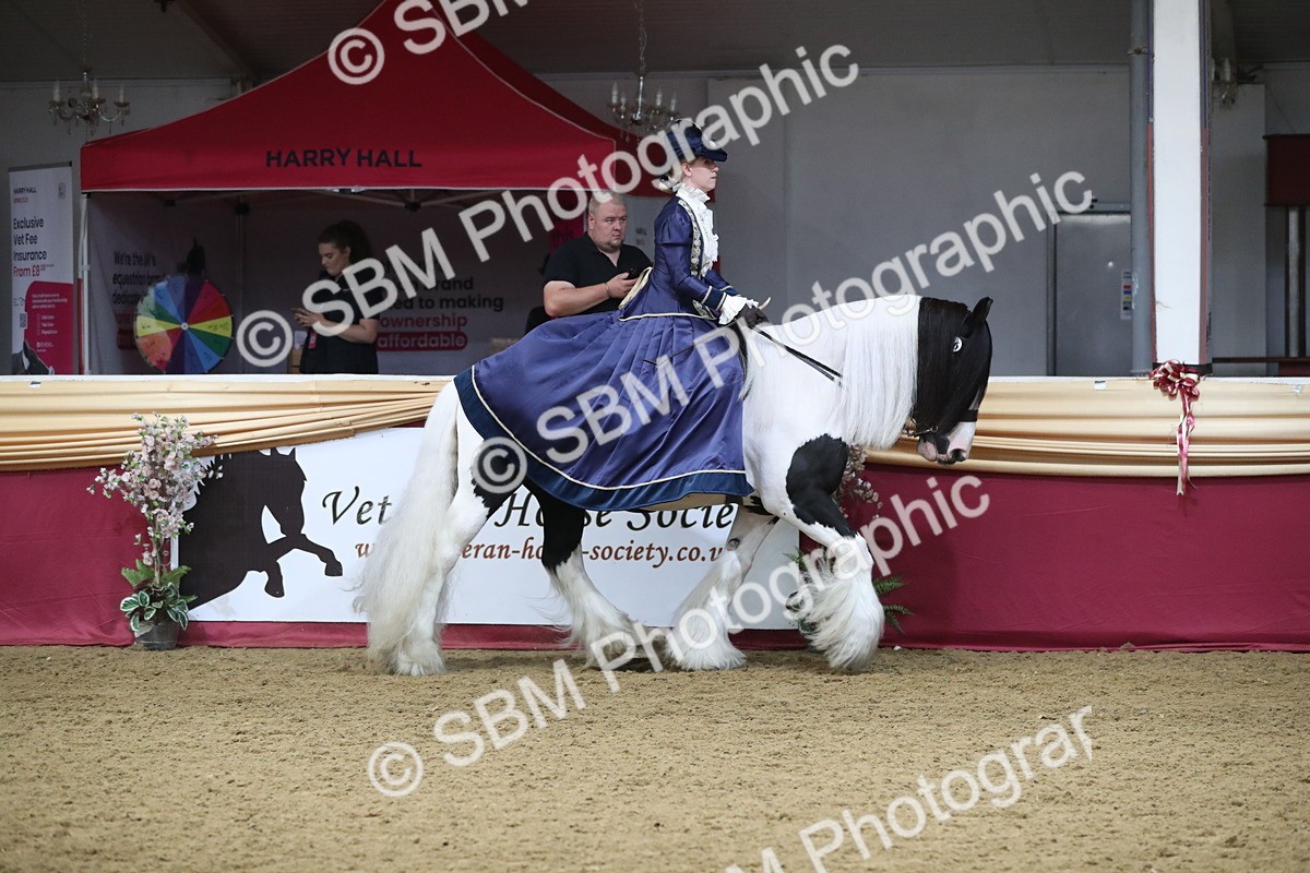 SBM_11963 - Class 106 Ridden Costume- Astride Adult (15-19)