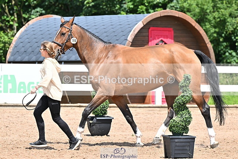 240718A-105313-01717 - Trot Up 1pm to 2pm