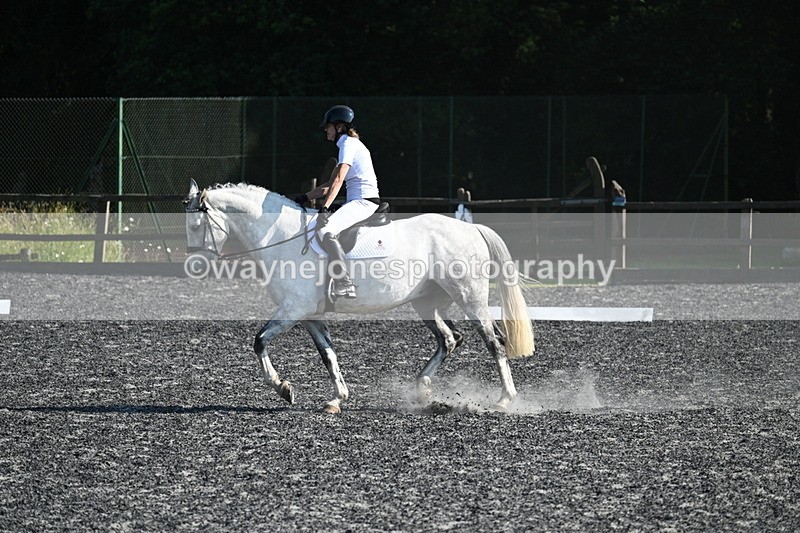 WJ7_8485 - Time 17:15 to 17:39