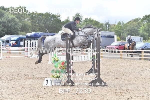 BPP_7239 - CLASS 5 Senior Foxhunter/ 1.20m Open