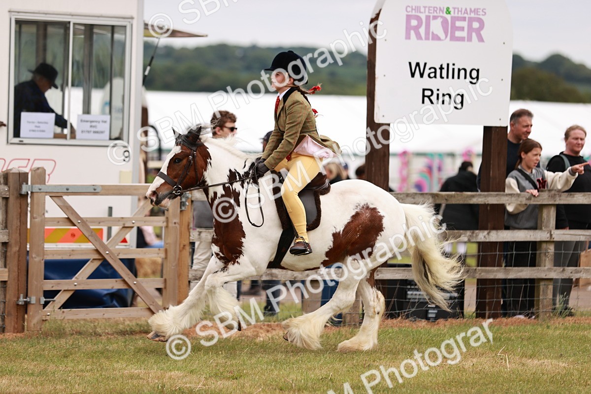 SBM_06158 - Class 39-41 TGCA In Hand and Ridden