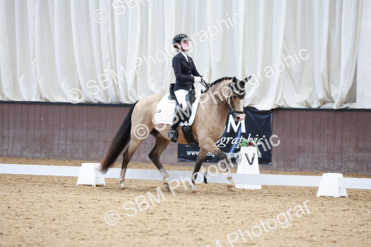 SBM_017349 - Class15 - FEI Pony