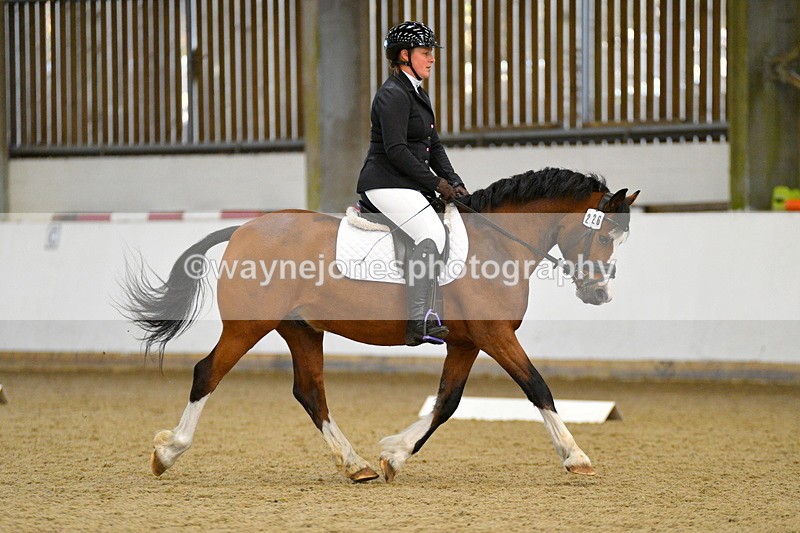 WJ5_7335 - SORC Open Dressage at BCA 01-11-25