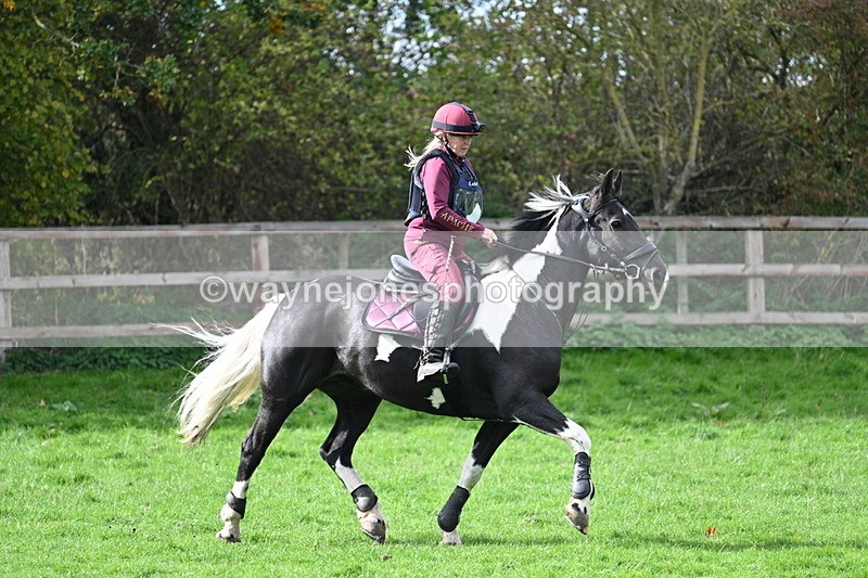 WJ7_8717 - Time 12:12 to 12:37