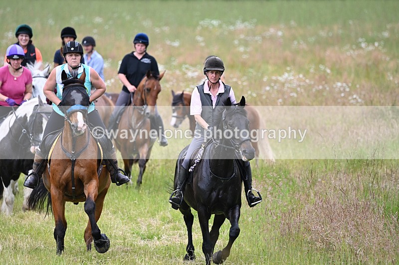WJ6_8361 - Camera 1 Gallops