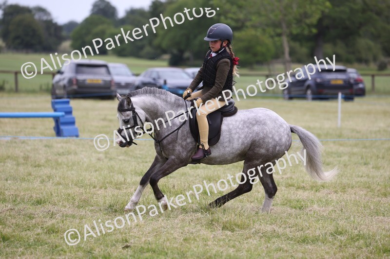 20260614-3142 - Class 22 - Open Working Hunter