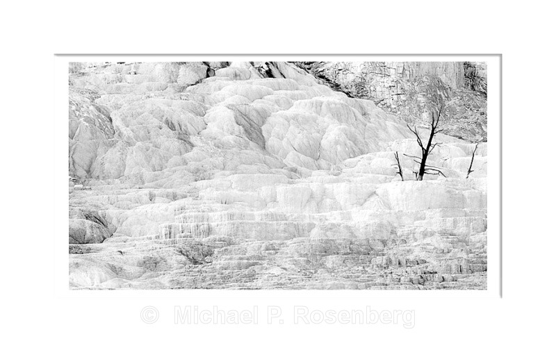 - Yellowstone and Grand Tetons