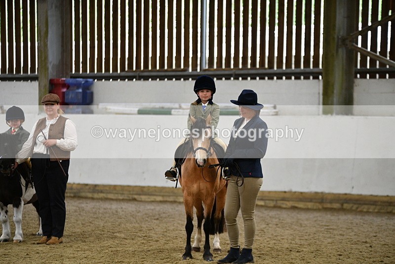 WJ5_7021 - Class 10 Childs Pony