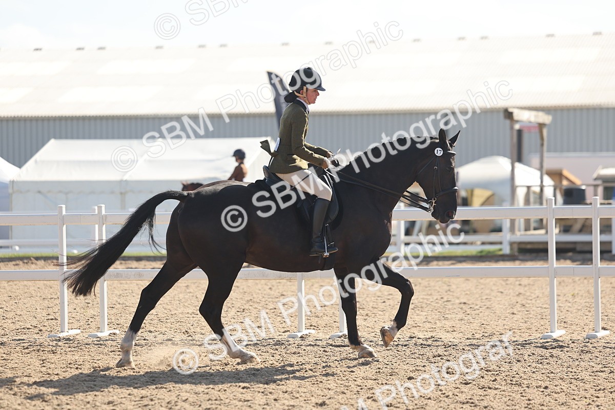 SBM_22658 - Class 805 - Ridden Veteran Horse