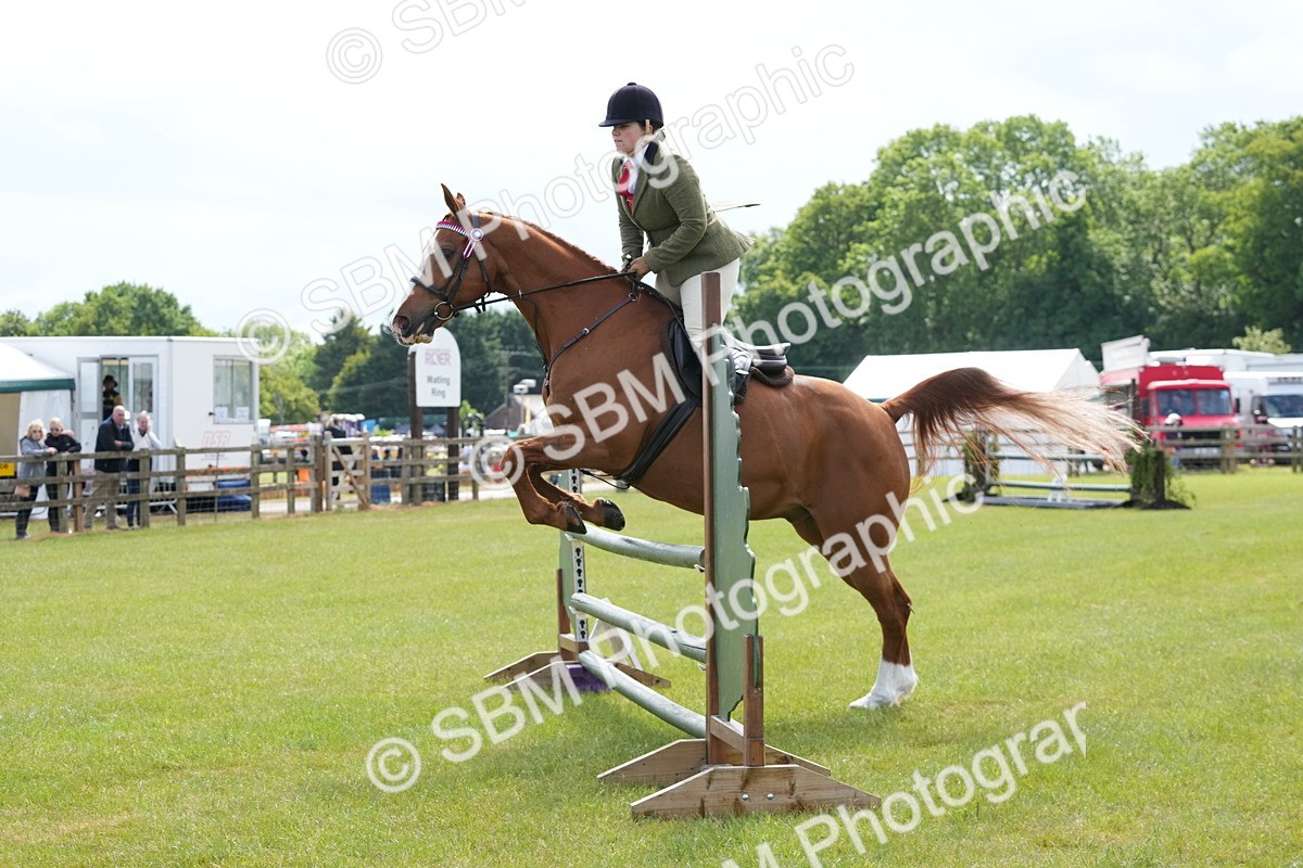 SBM_12898 - Class 99 - RIHS SEIB Working Show Horse