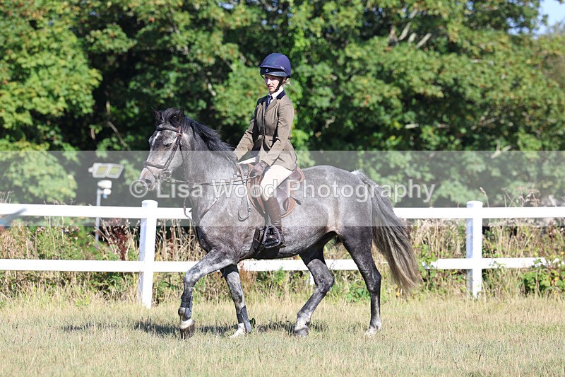 3E7A5516 - Class 3: Working Hunter 70cm