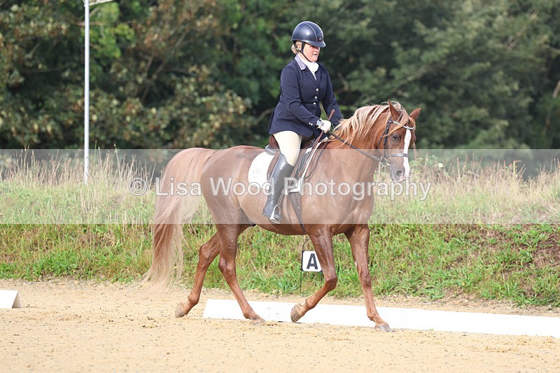 3E7A1908 - Class 1: Intro 4 2024 section A