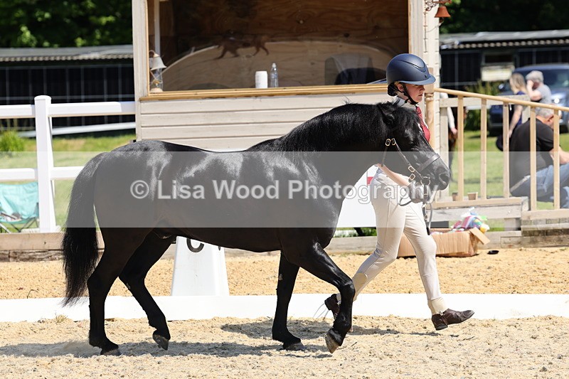 1X9A1119 - Class 9: Open Part Bred