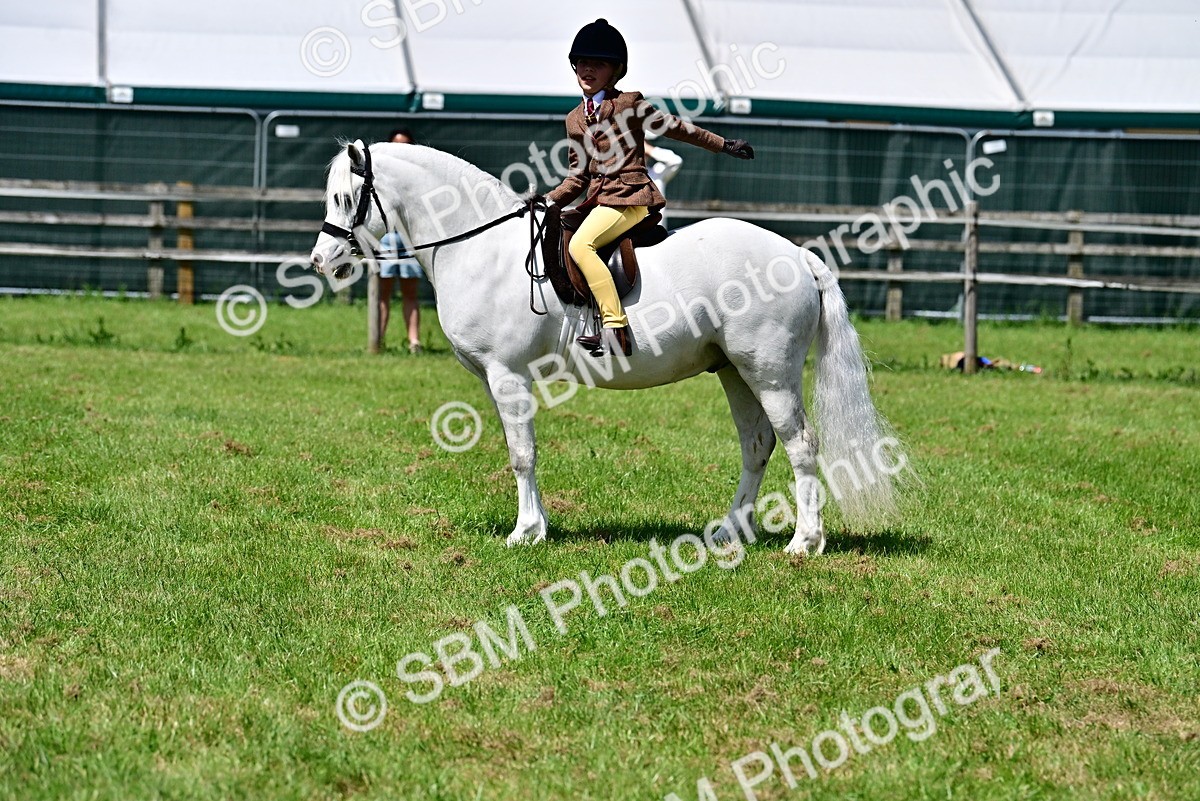 SBM_06071 - Class 59-60 - TSR M&M  Lear Rein and First Ridden Amateur of the year