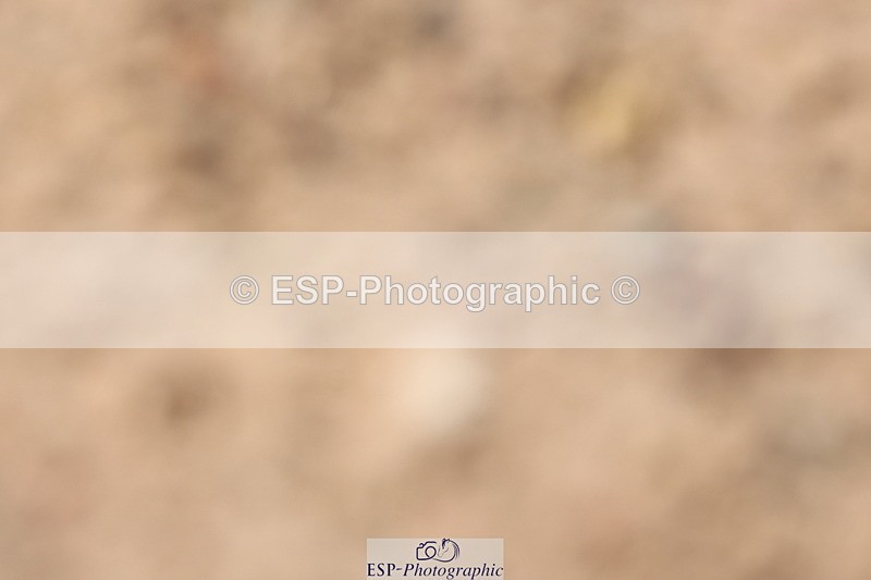 240706A-150443-03646 - Cls 4B Snr Novice 30