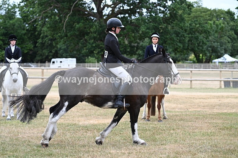 WJ7_0329 - Class 2 Best rider