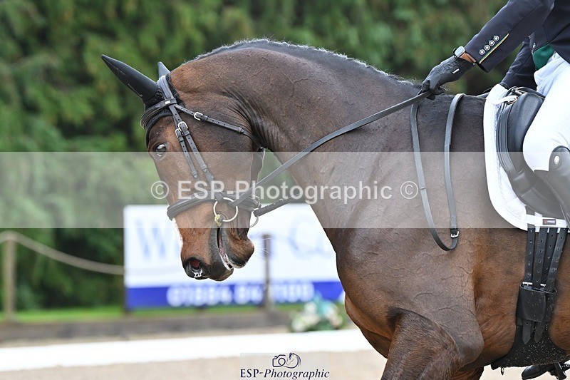 231019-105708-02012 - 104-MIH.CANDY.ALLSTAR-Ollie.Martin-DR