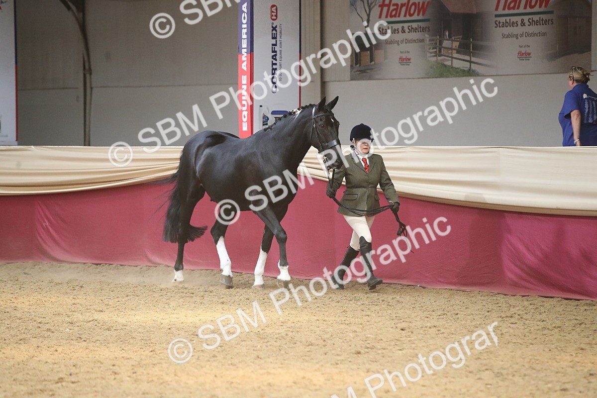 SBM_05516 - Class 9R - Regional IH Pre-Vet