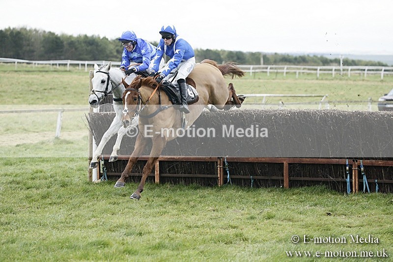 PtP 031217 298 - Hursley Hambledon Point-to-Point Larkhill 03/12/17