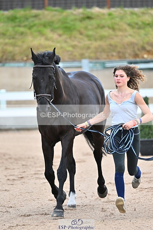 240718A-105325-01970 - Trot Up 2pm to 3pm - This folder is not in time order