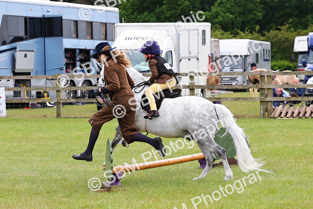 SBM_08266 - Class 42-43 - LIHS BSPS Heritage Working Sports Pony