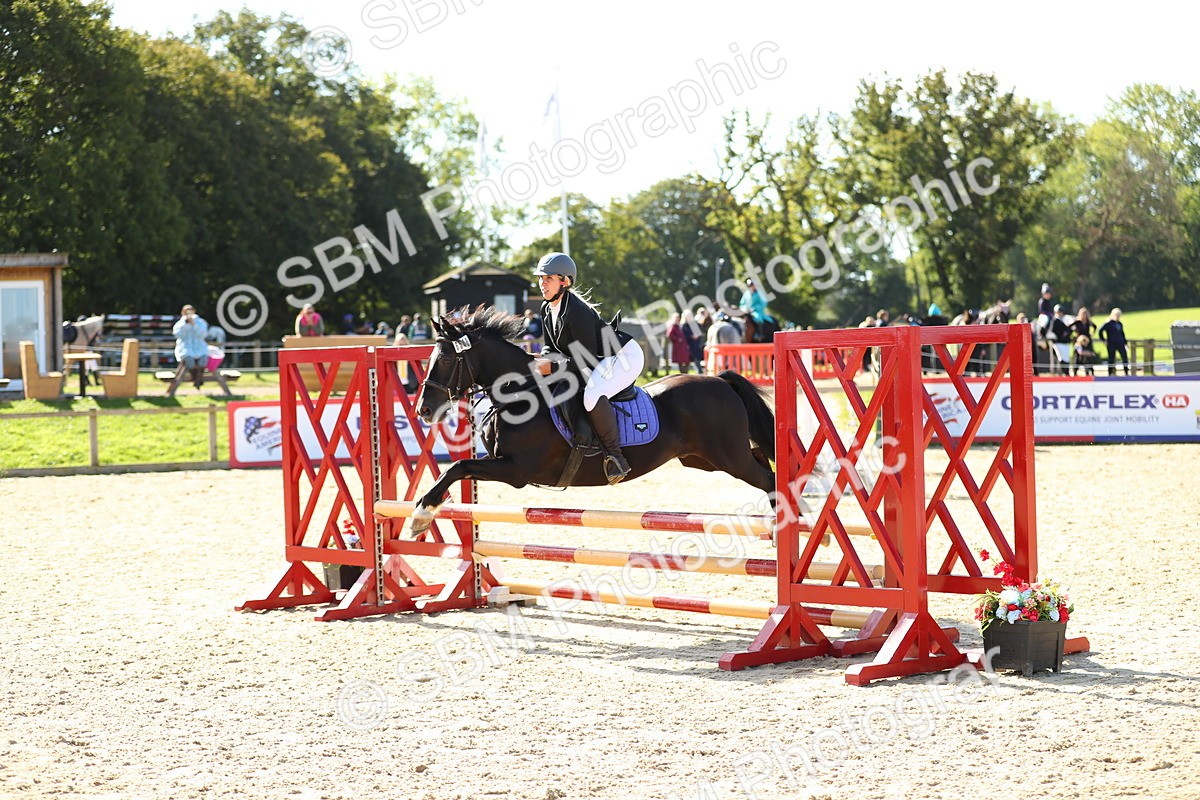 SBM_17680 - J33 - Senior 75cm Championship