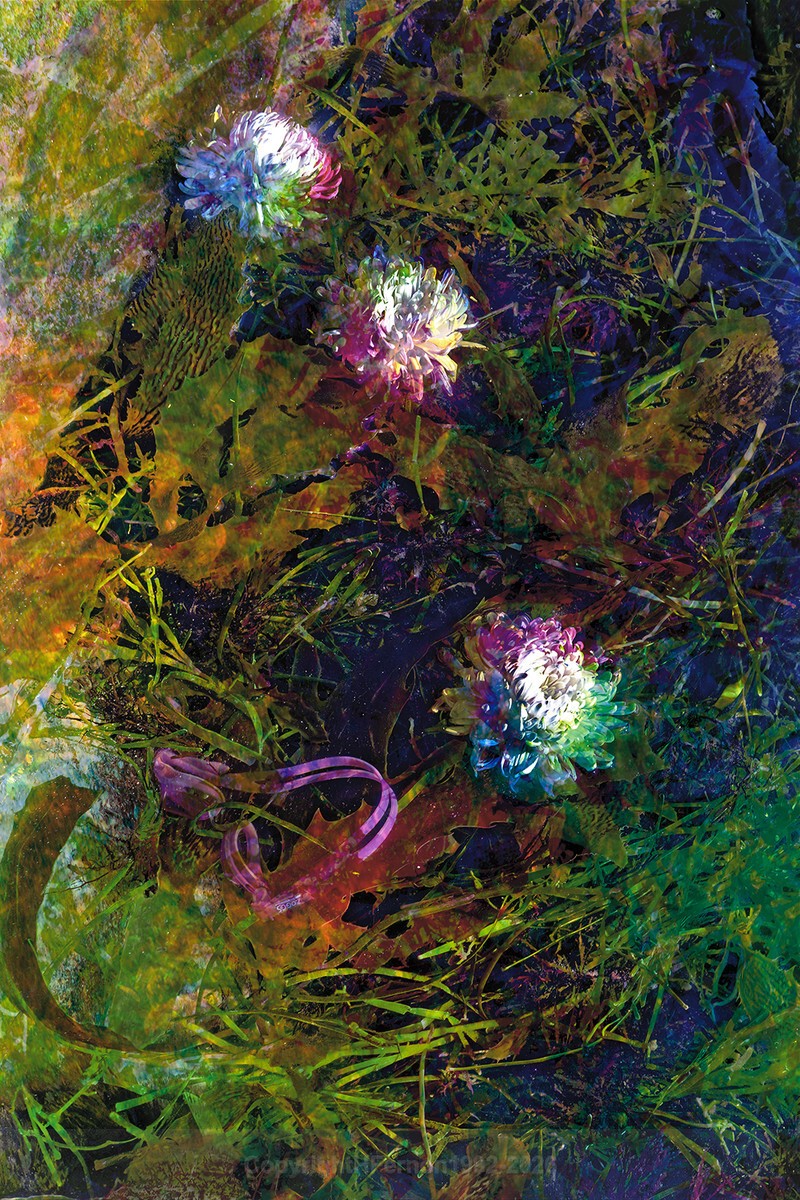 ENTROPY TRIPTYCH X-Xll - ENTROPY 2023