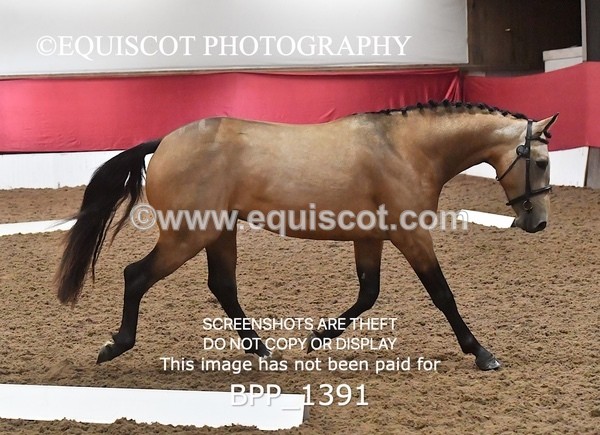 BPP_1391 - MORNING 9AM - 12PM