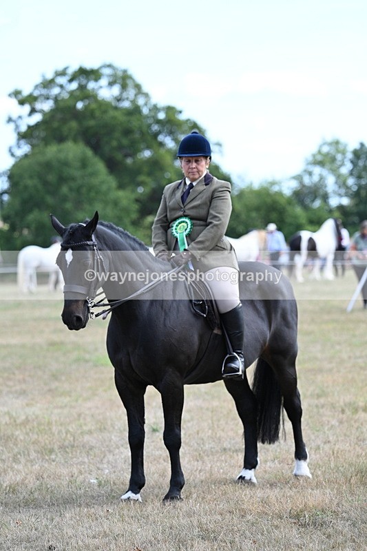 WJ7_6368 - Class 13 Ridden Veterans