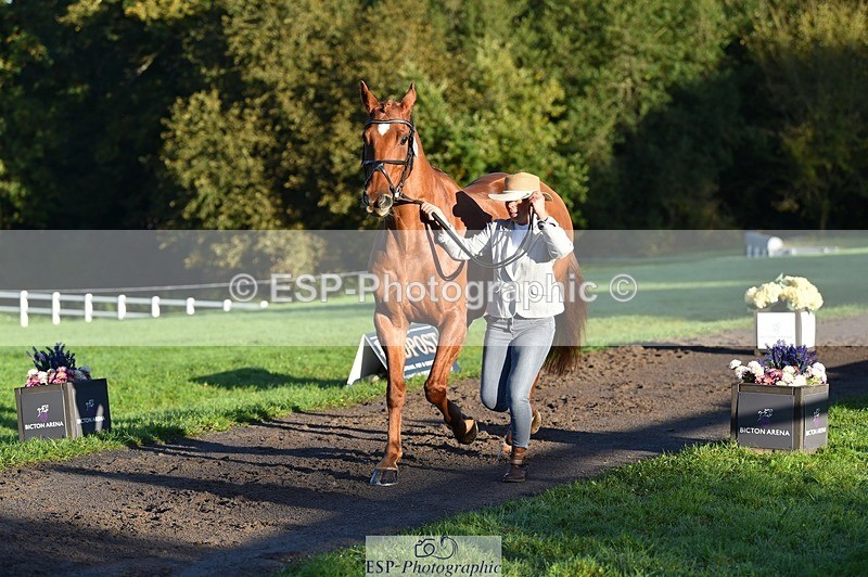 231022-090906-21590 - 656-DUNARD.RED.KNIGHT-Naomi.Watkins-TrotUp+SJ