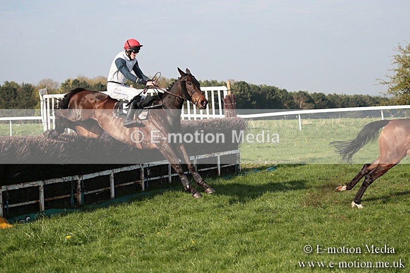 PtP 210418 617 - South & West Wilts Point-to-Point Larkhill 21/04/18