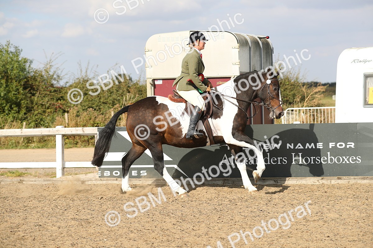 SBM_06943 - Class 49a Style & Performance 80cm (15-19)