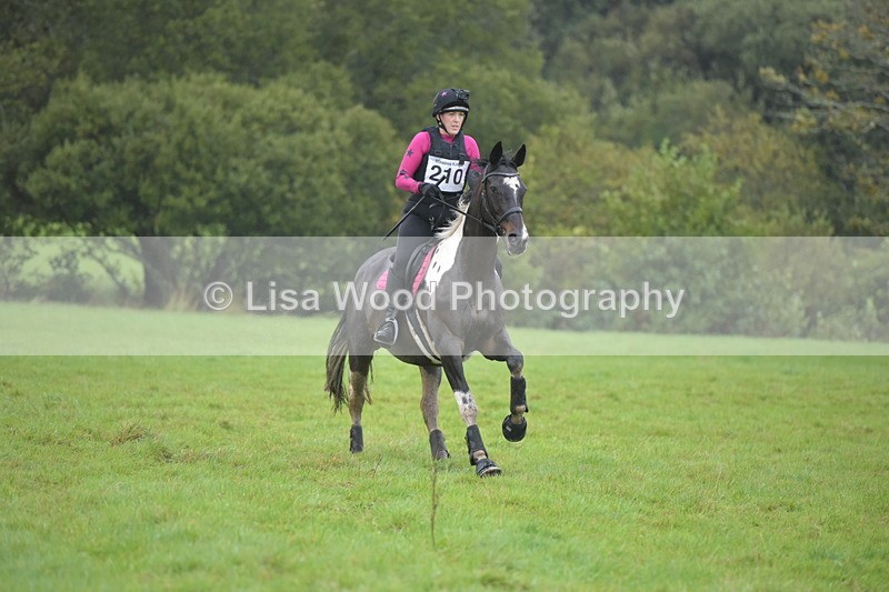 RAY_9528 - Class 2: 70cm: Corner