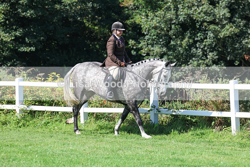 3E7A8365 - Class 4: Novice working Hunter