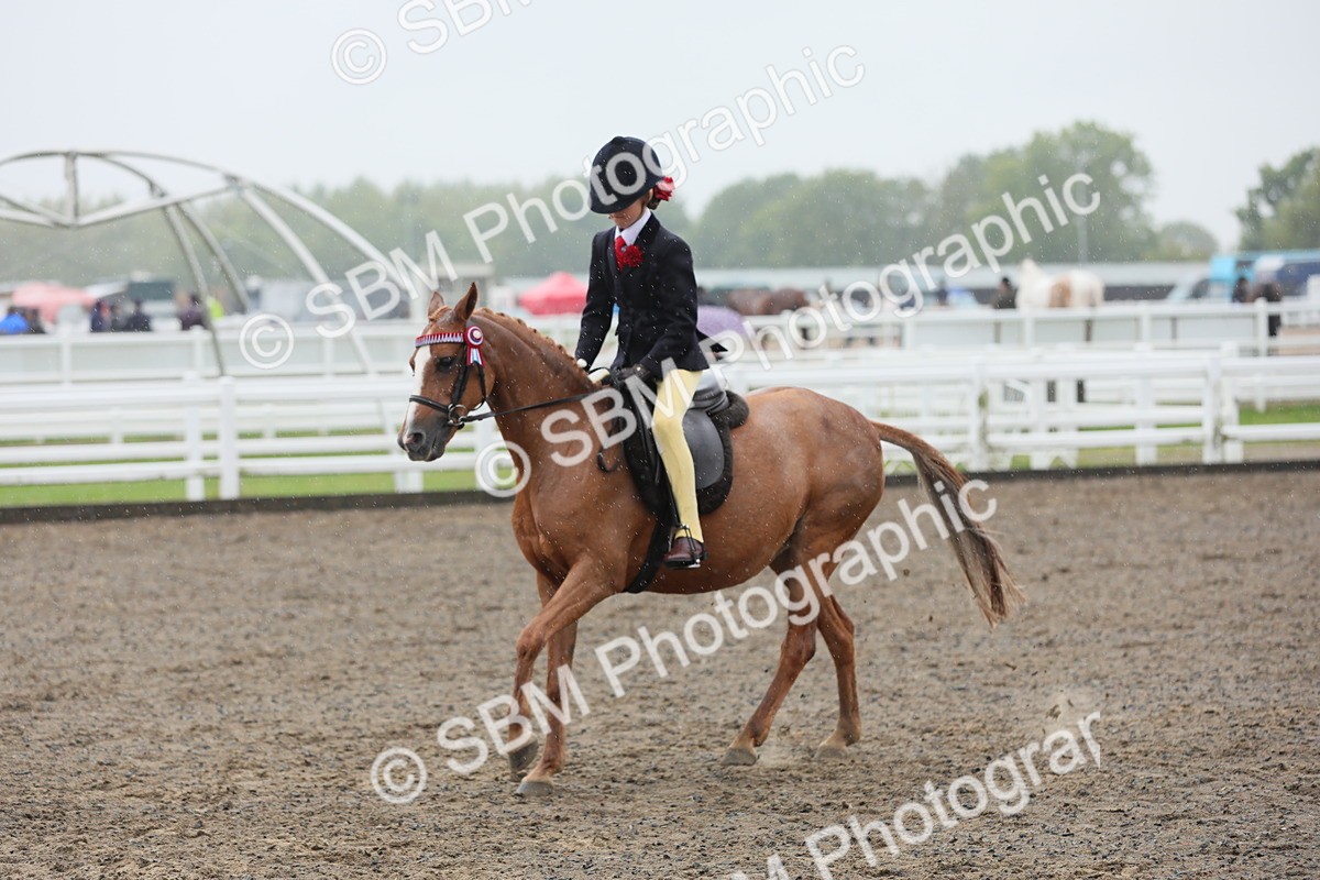 SBM_20616 - Class 804 - Ridden Veteran Pony