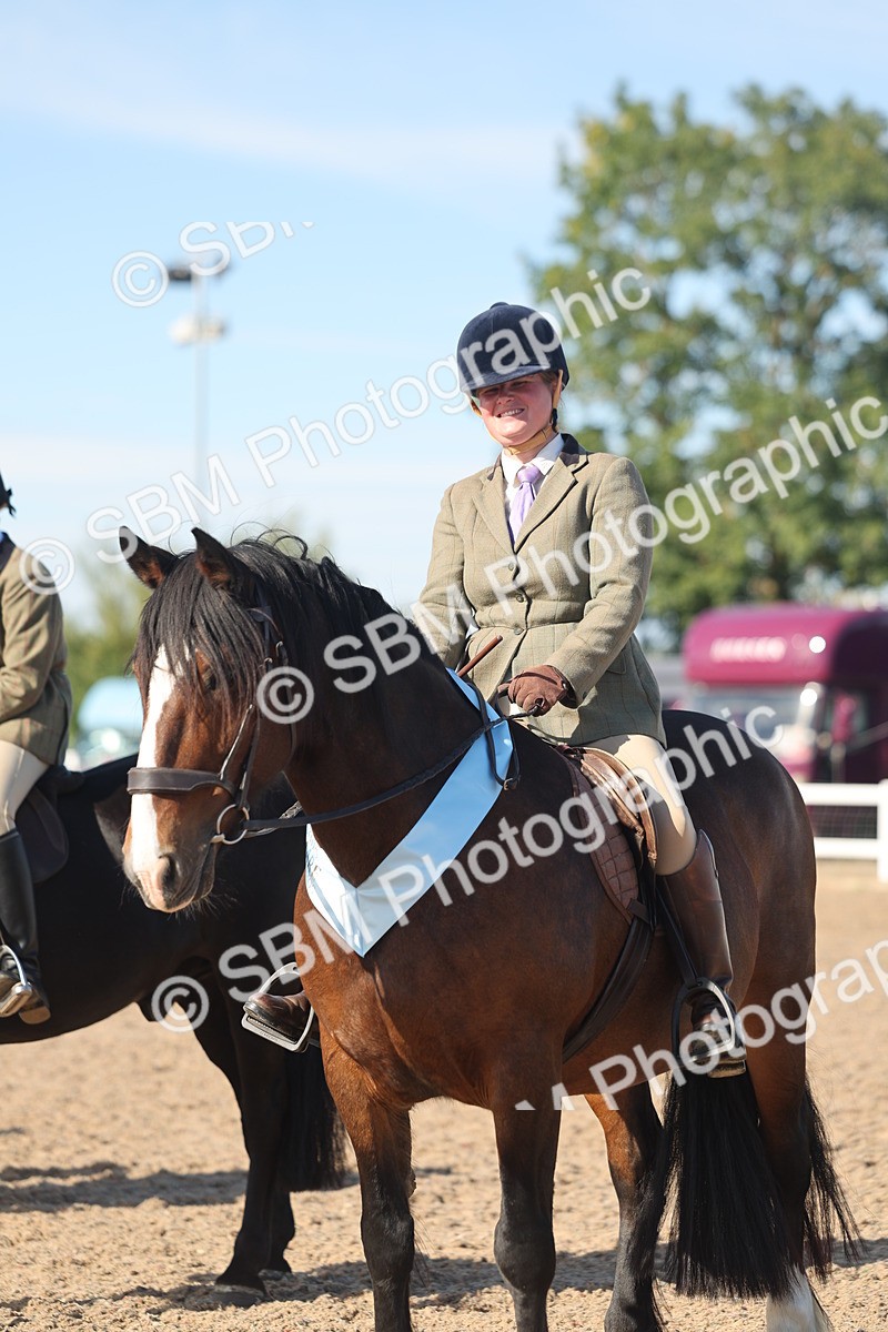 SBM_12431 - Class 304 - Ridden part Bred Horse Pony