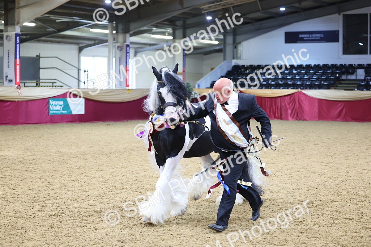 SBM_18668 - Class C Best Turned Out Champ
