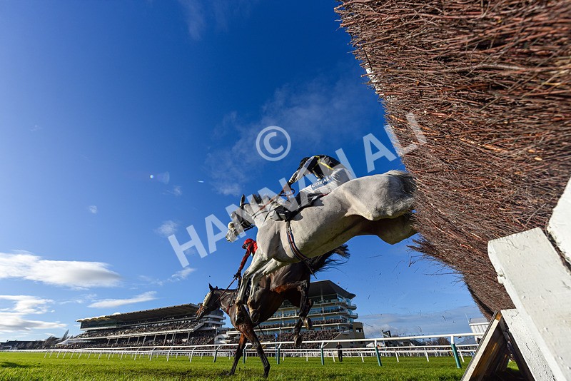 141224-Race 3-So Said I-9357 - Race 3