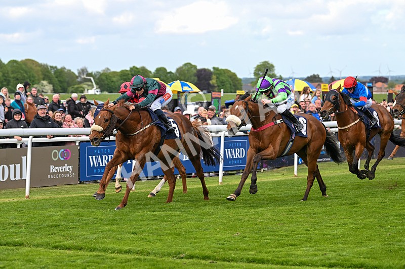 050525-Race 6-Copper And Five-5240 - Race 6