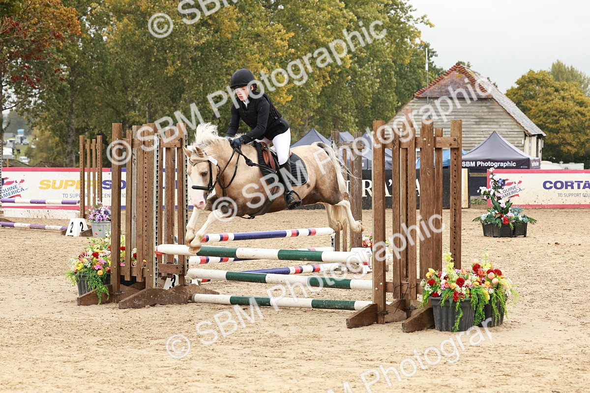 SBM_69266 - J13 - Junior Pony 60cm Championship