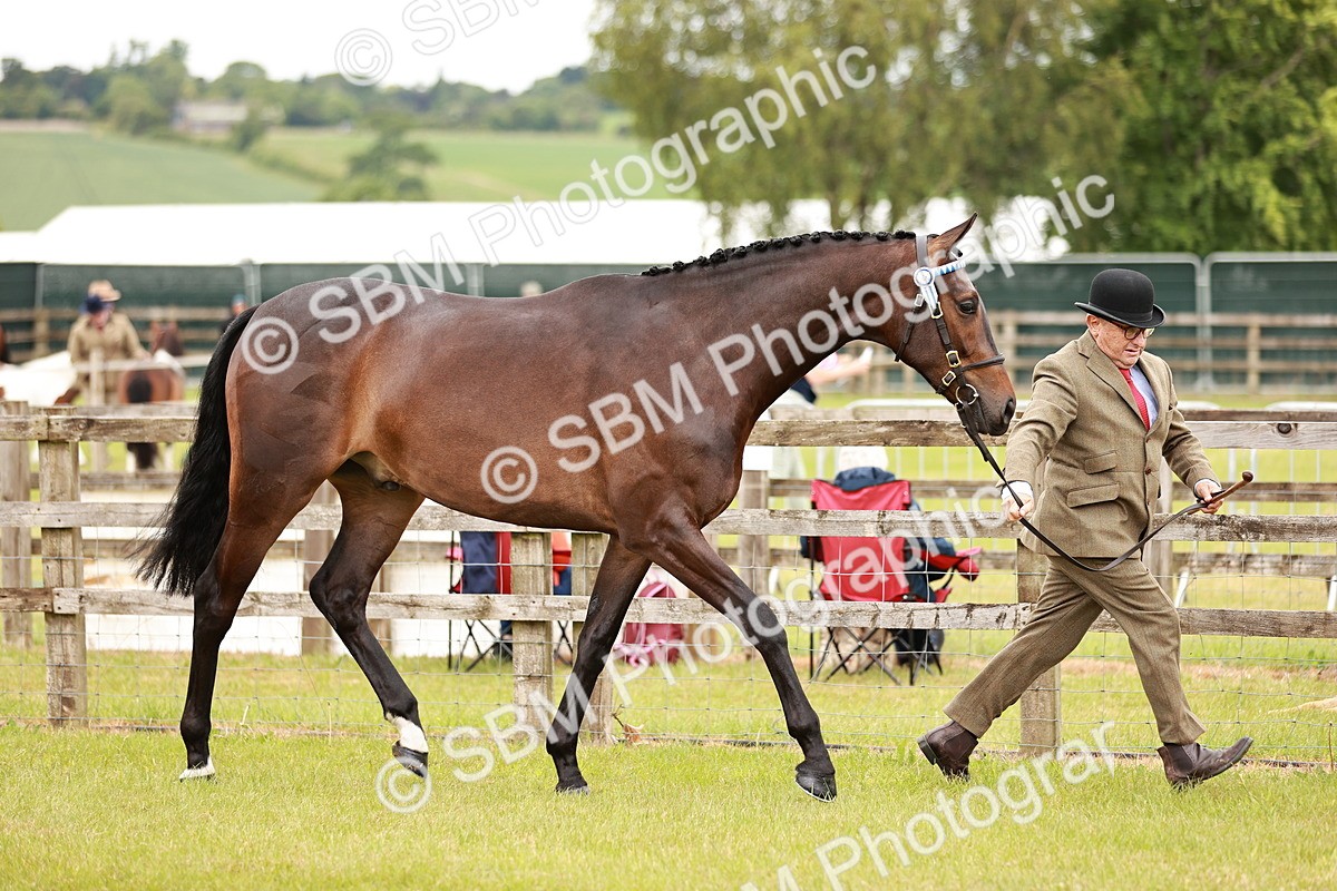 SBM_04774 - Class 35-38 Riding Horse Breeding