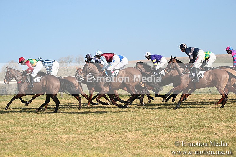 PtP 230219 74 - Vine & Craven Point-To-Point - Barbury 23/02/19
