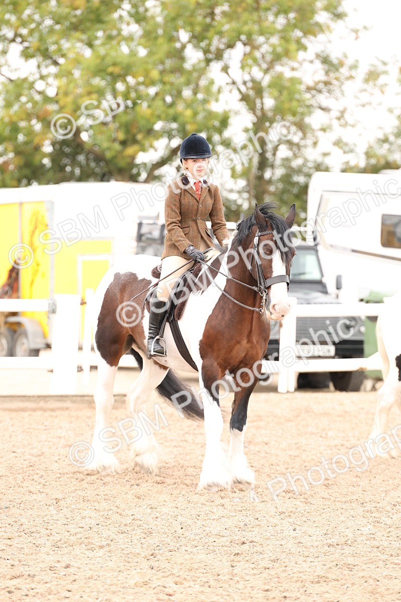 SBM_19722 - Class 216 - Ridden Traditional - Native Cob