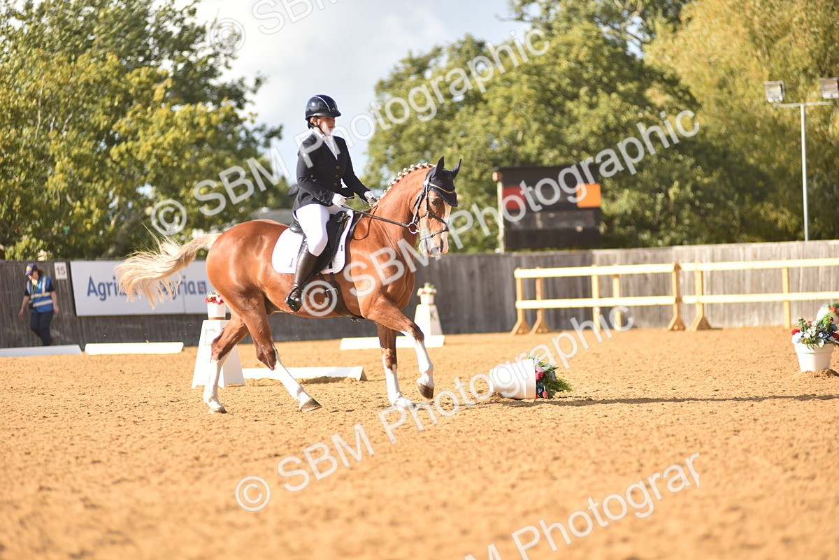 SBM_29574 - D16 -Small Tour Championship Novice 2