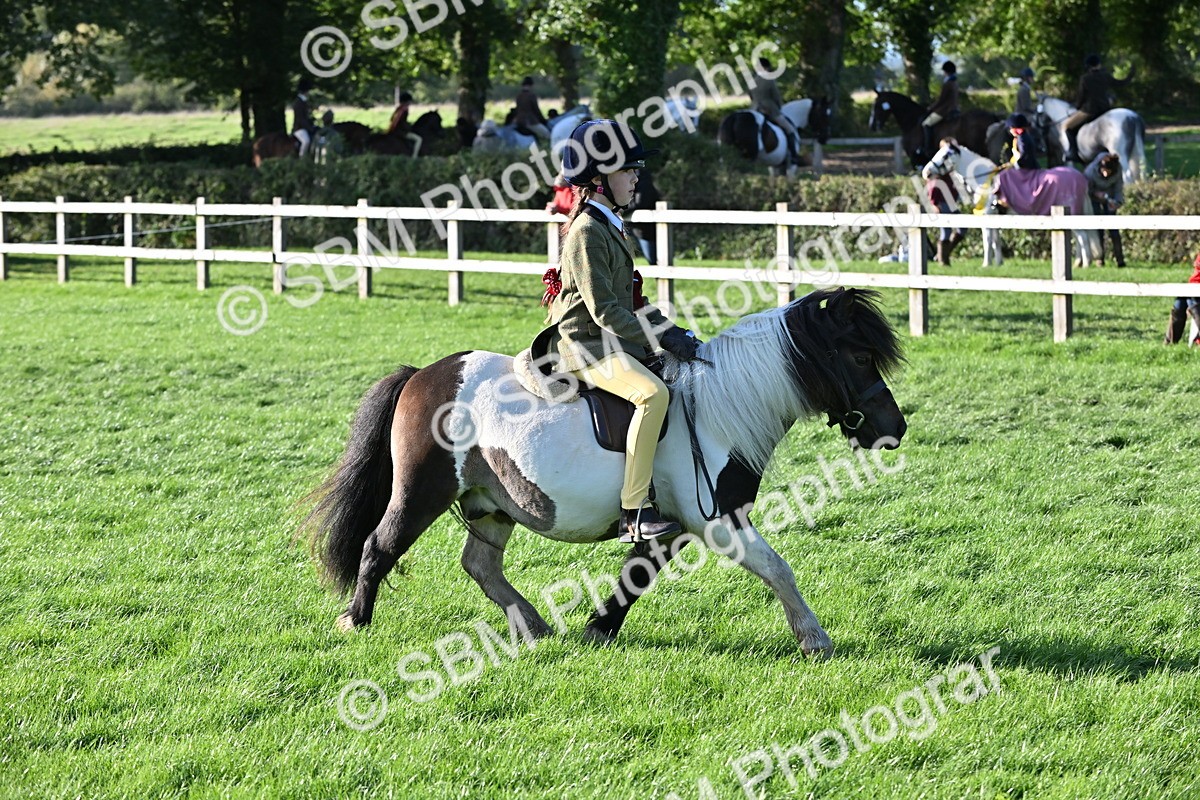 SBM_53056 - S23 - First Ridden Mountain & Moorland Pony